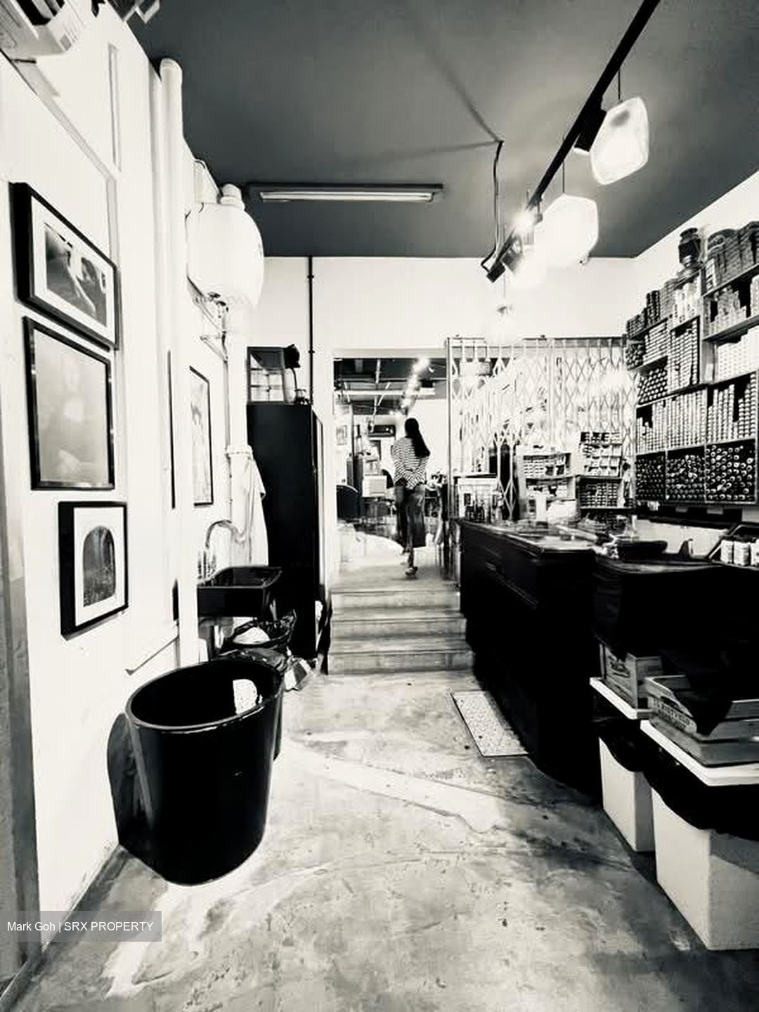 Tiong Bahru Estate (D3), Shop House #581136561